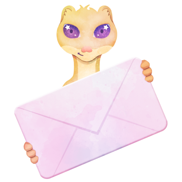 belette contact
