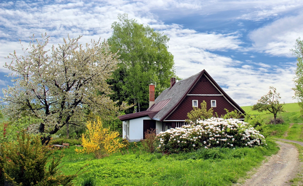 Gîte de campagne avec jardin fleuri