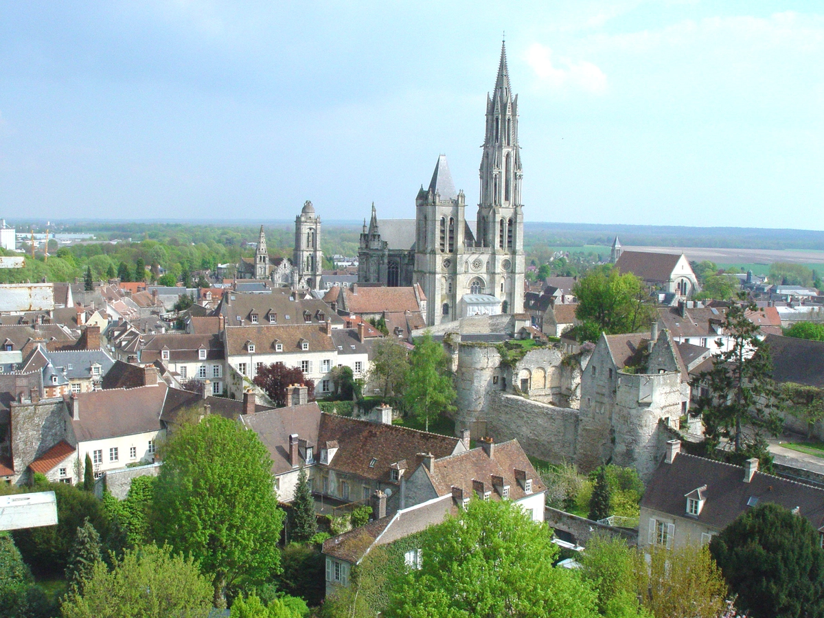 Vue générale de Senlis